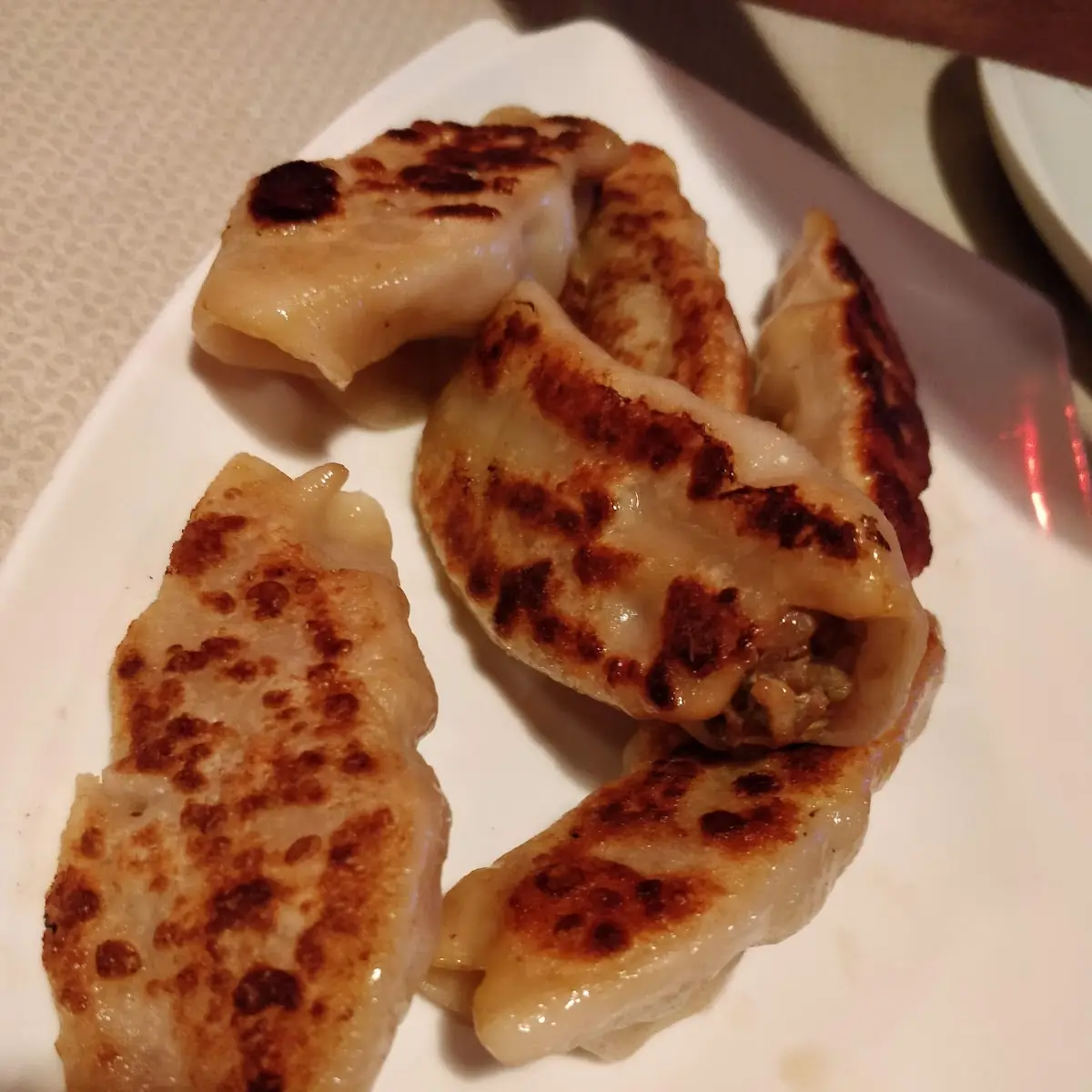 taiwan style pan fried dumpling 8 c10 台式锅贴